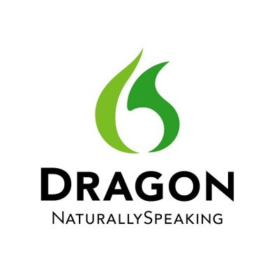 dragon professional individual manual
