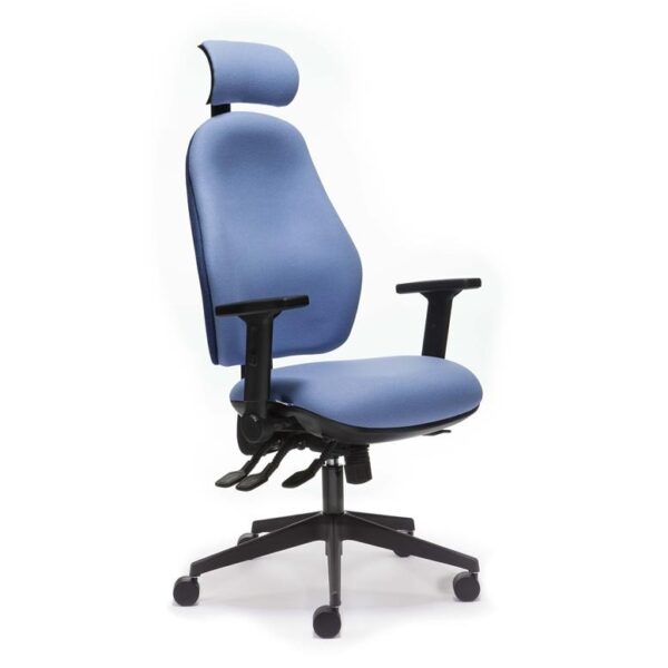 Orthopaedica 100 High Back Chair with Headrest (Blue)